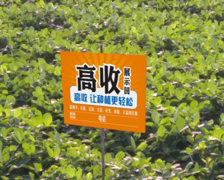九游体育- 阿尔特塔轮换策略收奇效  